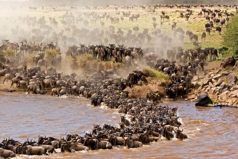 Masai Mara, Kenya