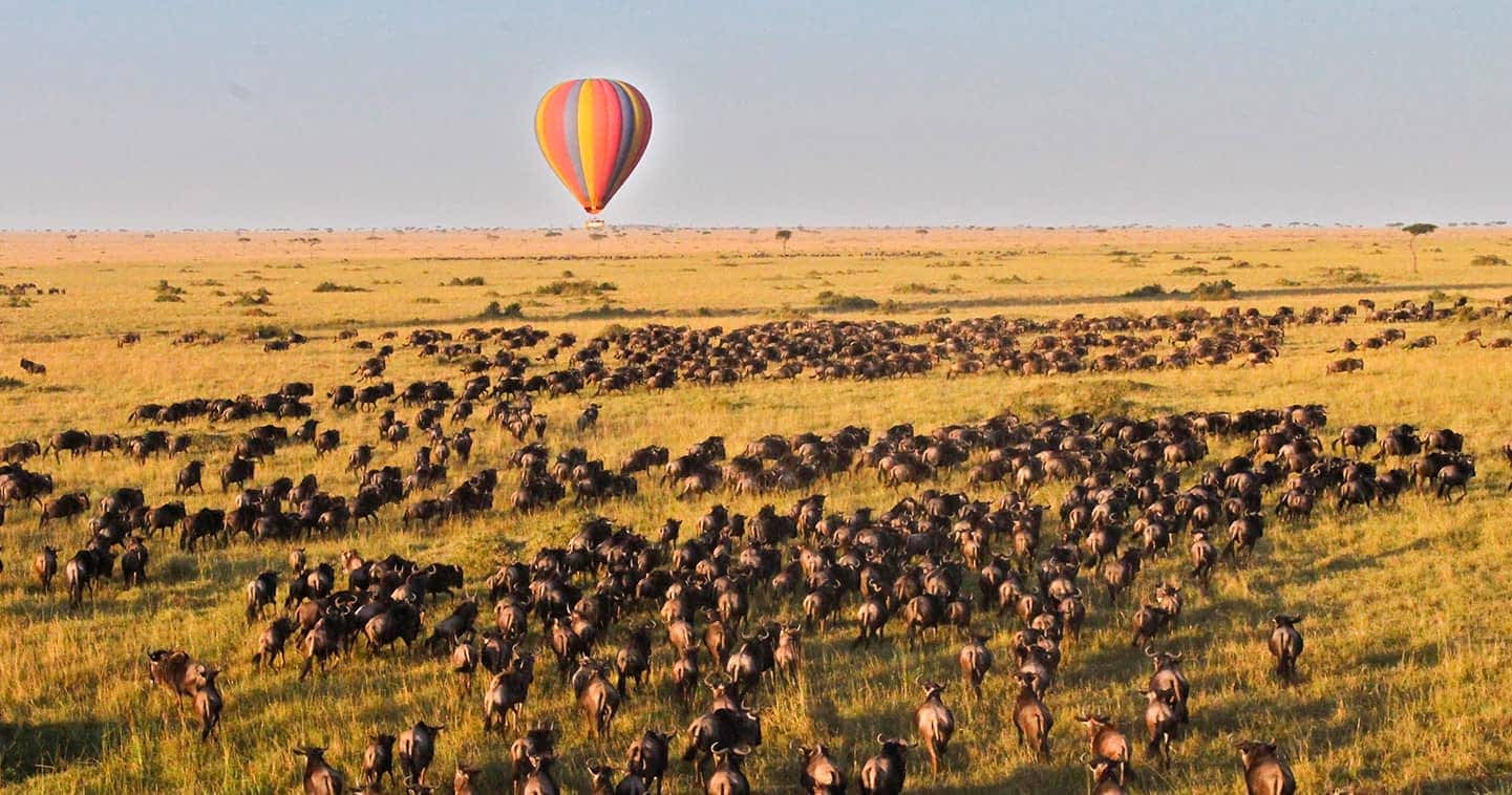 Masai Mara, Kenya