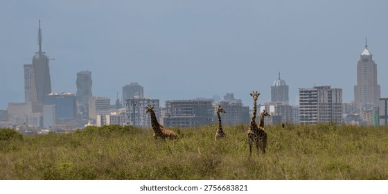 Nairobi, Kenya