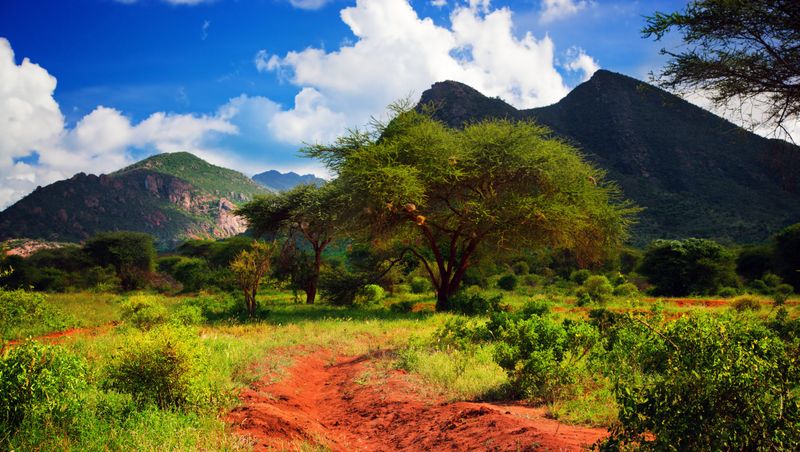 Tsavo West, Kenya