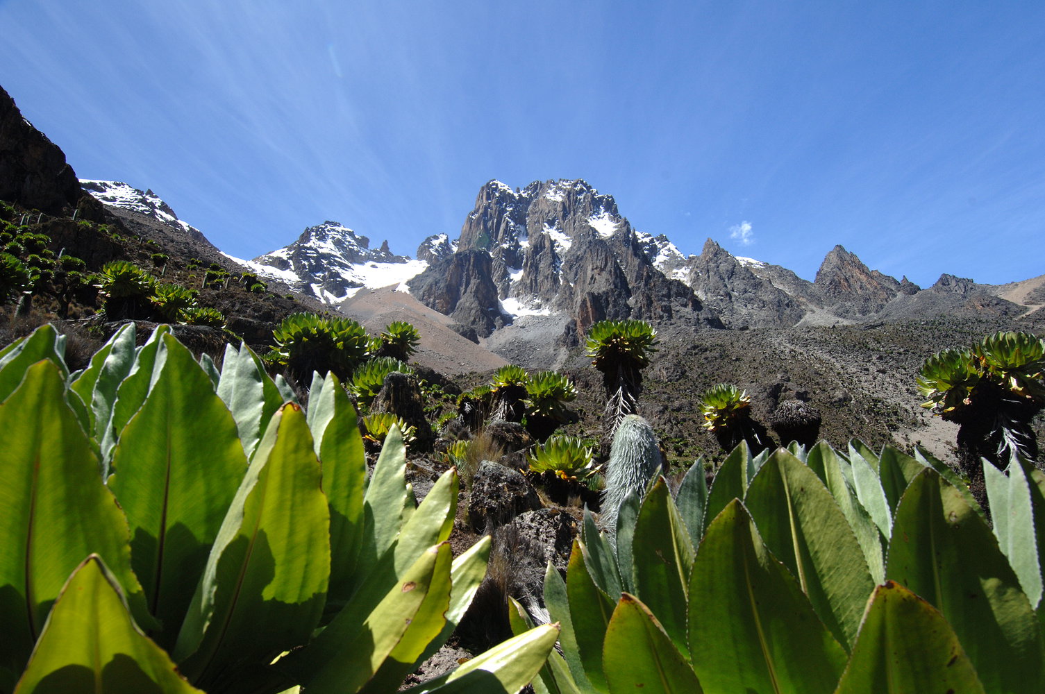 Old Moses Camp, Mount Kenya National Park, Kenya