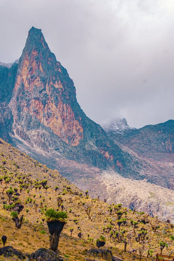 Mount Kenya National Park, Kenya