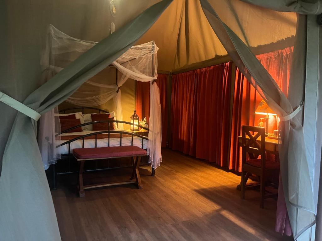 Ikweta Safari Camp, Meru National Park, Kenya