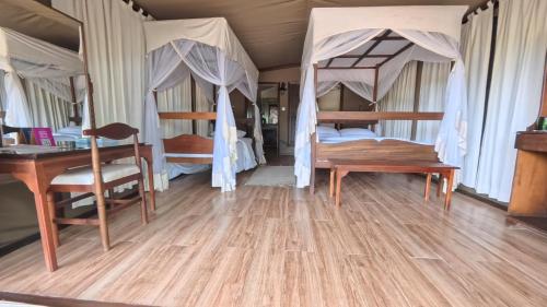 Superior Ngamboli Tent at Fig Tree Camp, Maasai Mara, Kenya