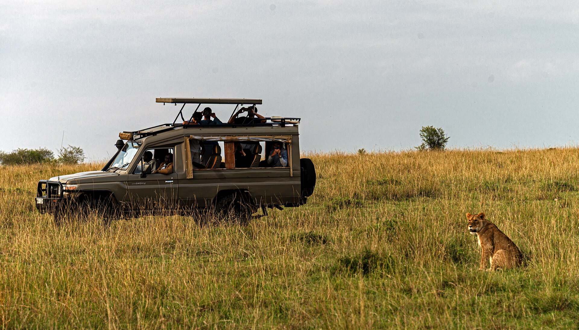 Game Drives