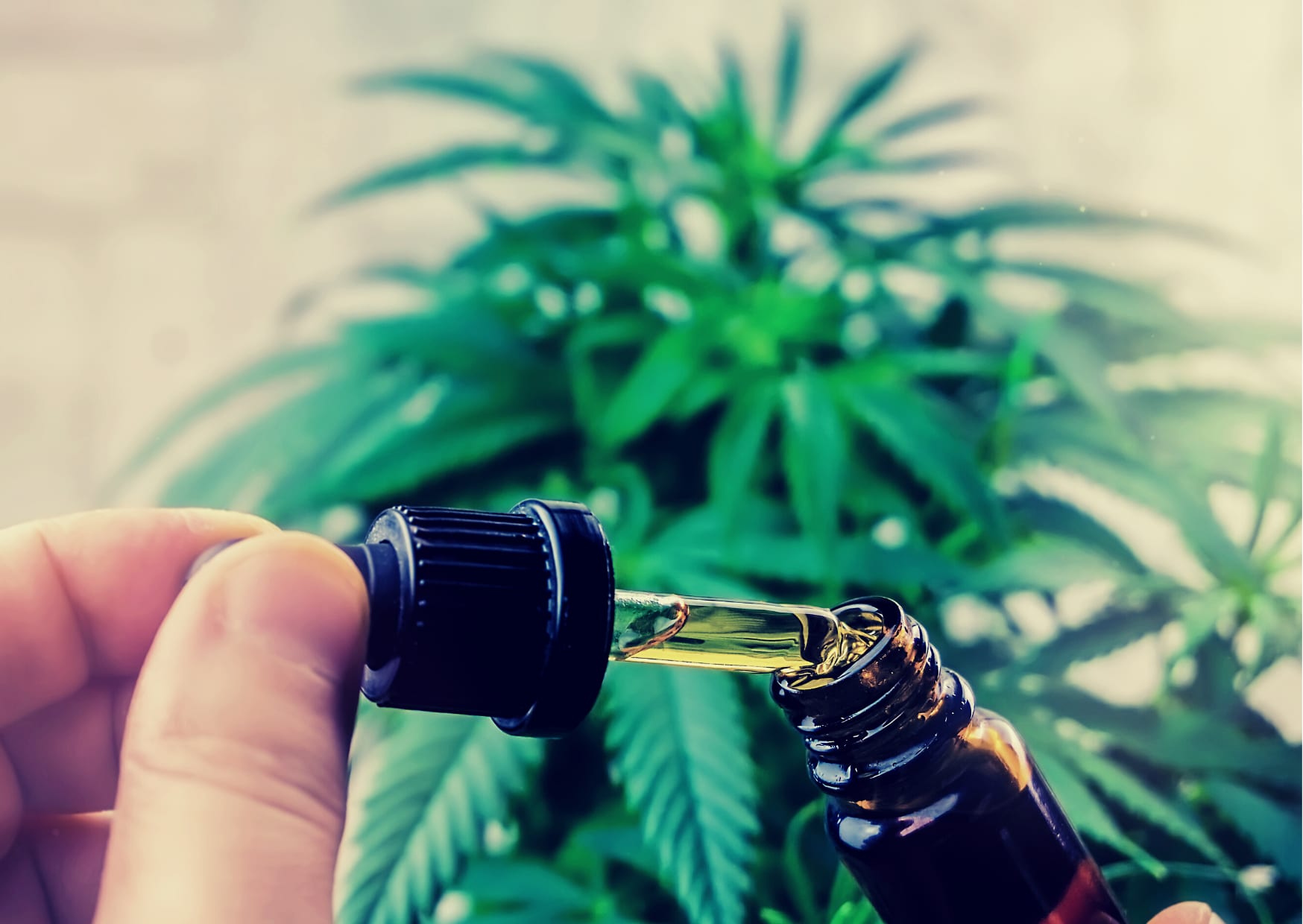 iApotheca Healthcare