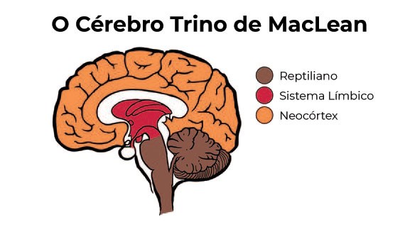 cerebro