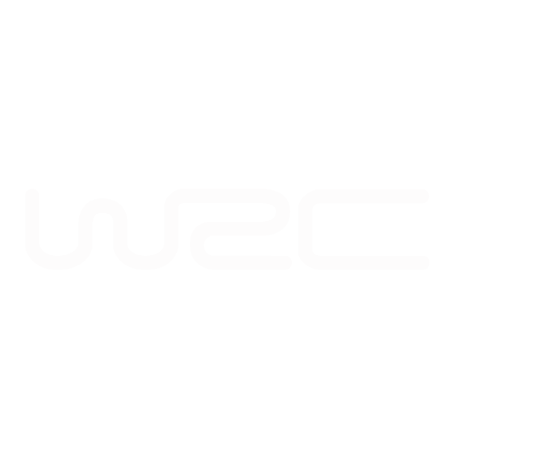 WRC2 LOGO