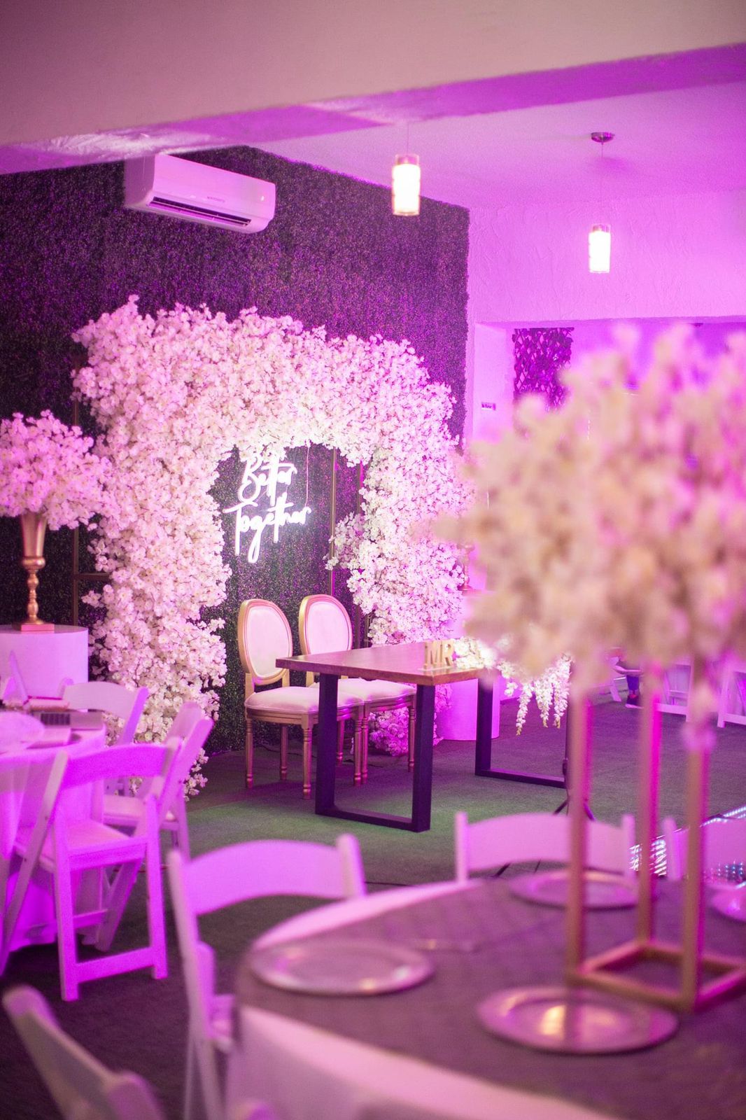 Salón La Cereza Jardín
