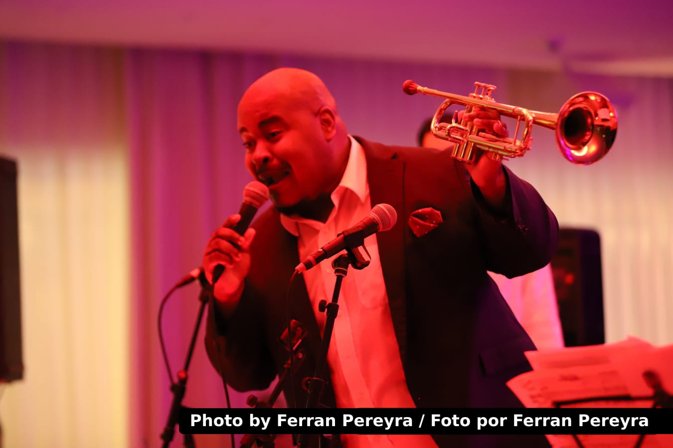 A Gathering of Masters — Jazz Point Ibiza 2026, photo 29