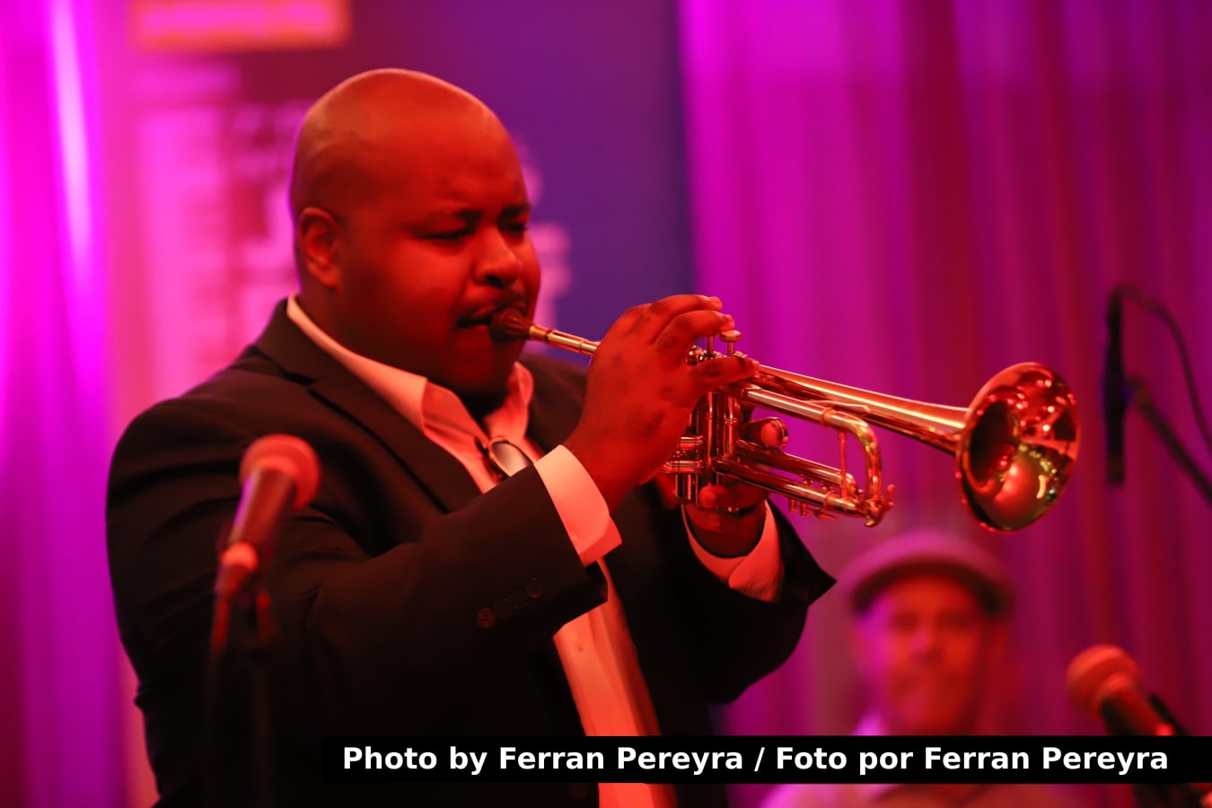 A Gathering of Masters — Jazz Point Ibiza 2026, photo 19