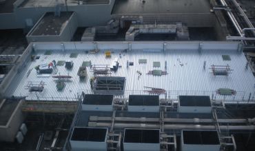 Pfizer Alus Project image