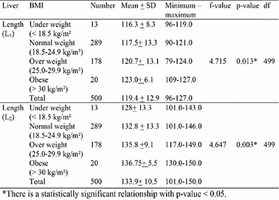 Liver dimension by body mass index