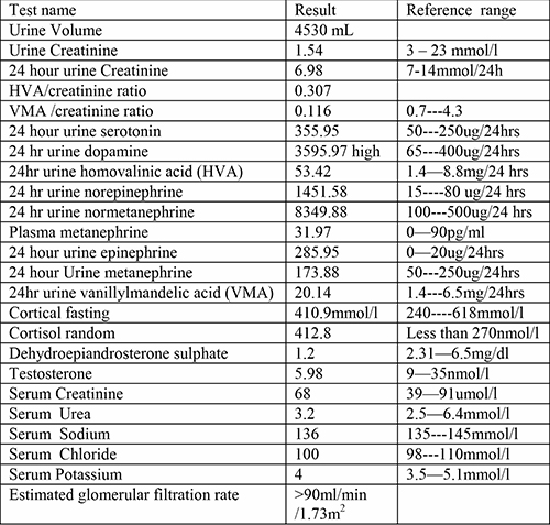 Biochemistry results of patient