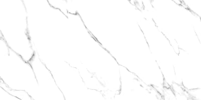 Rome_BookmatchA