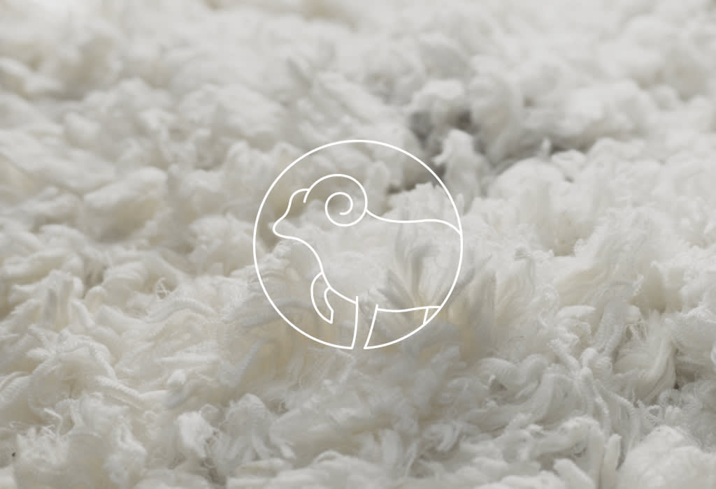 Merino wool