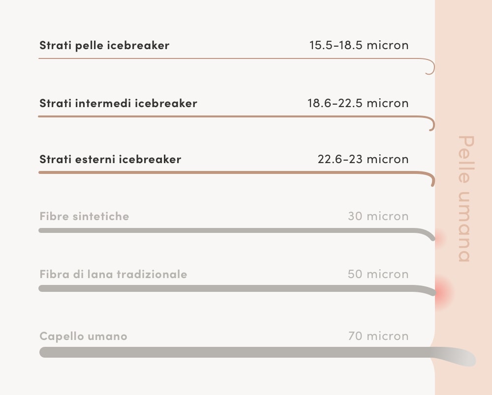 tabella dimensioni