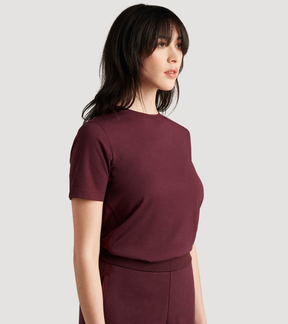 icebreaker's women's merino t-shirt icebreaker's women's merino t-shirt