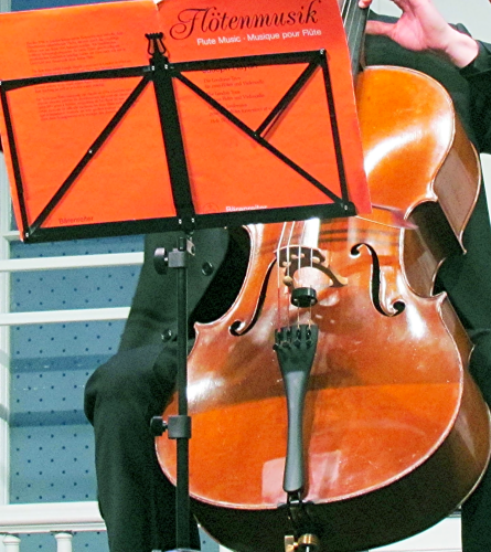 Cello pjtsiw