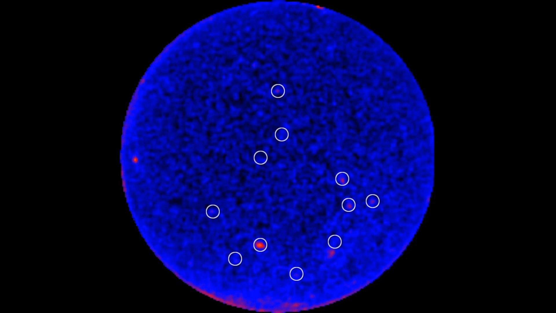 Blazar activity observed by Fermi