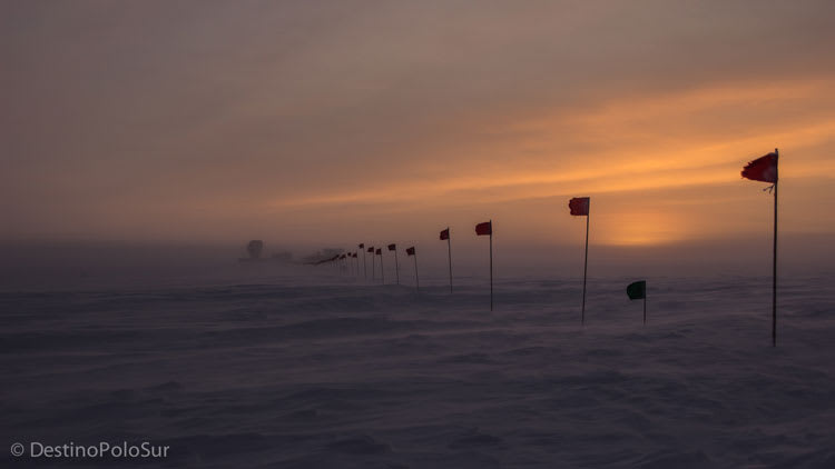 flags