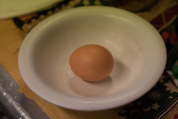 egg