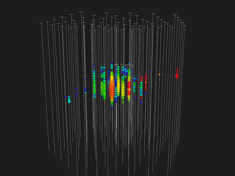 Neutrino and muon