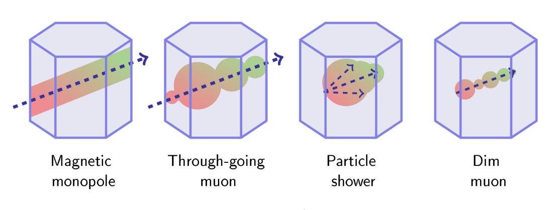 Magnetic monopoles should leave a very distinct signature in IceCube. Here is an illustration of a magnetic monopole signature compared to other common IceCube events. The blue volume represents the IceCube detector and the dashed lines represent particle trajectories. The shaded areas around the trajectories represent the Cherenkov light pattern emitted by the different types of particles. The color coding (red to green) represents the timing of light produced, from earlier to later.