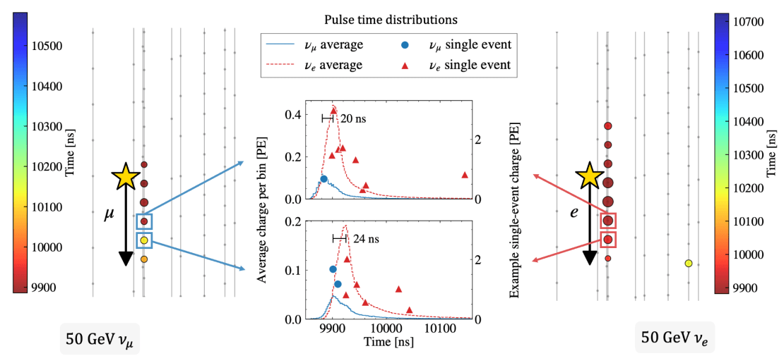 At low energies, IceCube often sees too little light to clearly distinguish different neutrino events by morphology alone. The left panel shows a simulated muon neutrino interaction, while the right panel shows an electron neutrino interaction. WavePID uses the timing of the first detected light pulses, illustrated in the center, as an additional fingerprint for identifying the event type. Credit: IceCube Collaboration