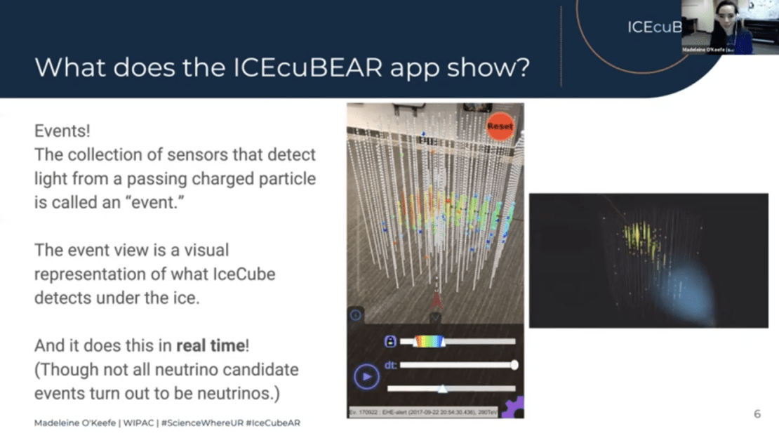 swya-icecubear