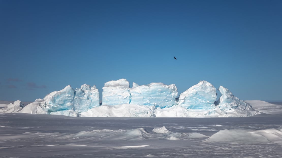 View of pressure ridge with skua flying overhead.