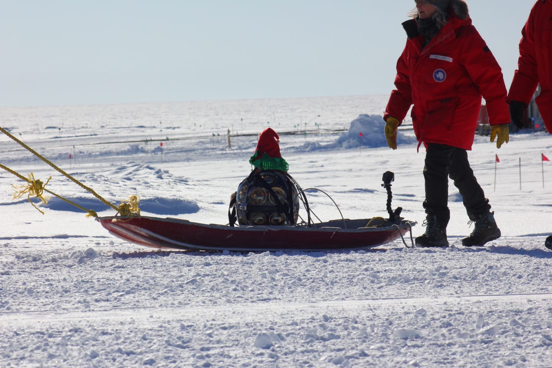 An IceCube module, in costume wearing a holiday hat, being pulled along on a sled, person walking behind ig.