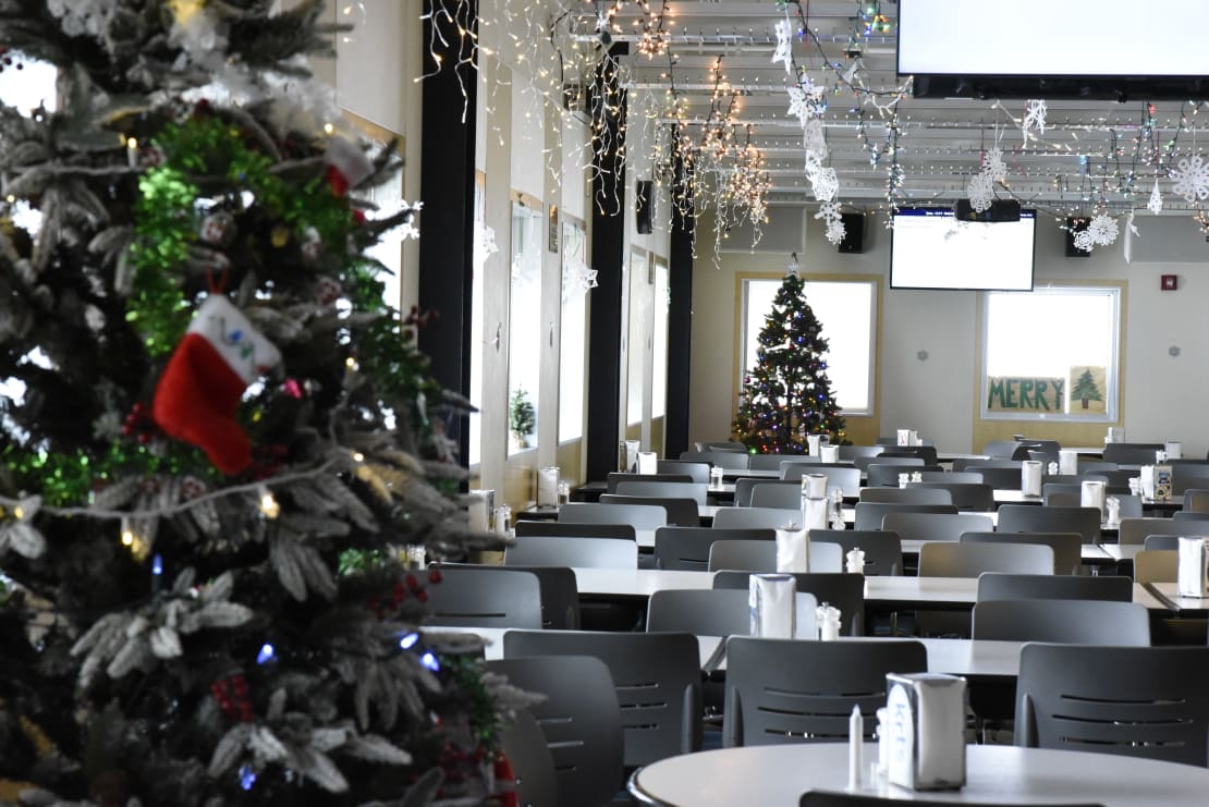 View of empty galley at South Pole station decorated for the season, with a Christmas tree in left foreground and another in far background.