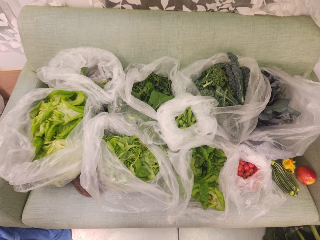 View looking down into collection of clear plastic bags open at the top, displaying fresh produce.