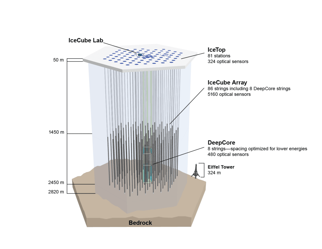 A schematic of the in-ice portion of IceCube, which includes 86 strings holding 5,160 light sensors arranged in a three-dimensional hexagonal grid.