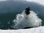 news_feat_icecube-scientist-m-krasberg-wins-uw-madison-cool-science-image