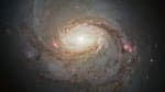 Hubble image of the spiral galaxy NGC 1068