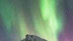 news_feat_2017-week-30-at-pole