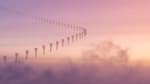 news_feat_2016-week-37-at-pole