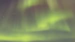 news_feat_2014-week-33-at-pole