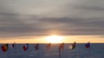 news_feat_2013-week-39-at-pole