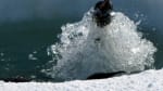 news_feat_icecube-scientist-m-krasberg-wins-uw-madison-cool-science-image