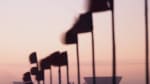 Dark sector flag line with pinkish sky at twilight.