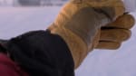 Focus on gloved hand holding a small paper penguin with blurry image of IceCube Lab in background.