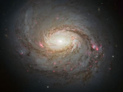 Hubble image of the spiral galaxy NGC 1068