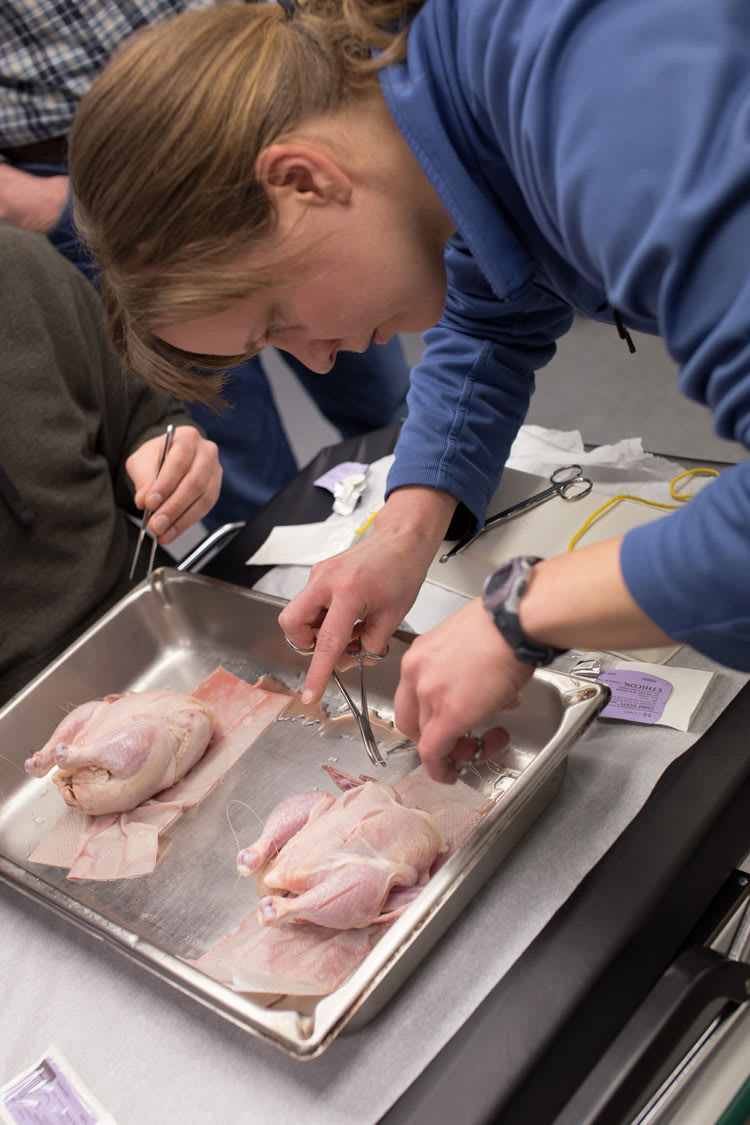 suturing