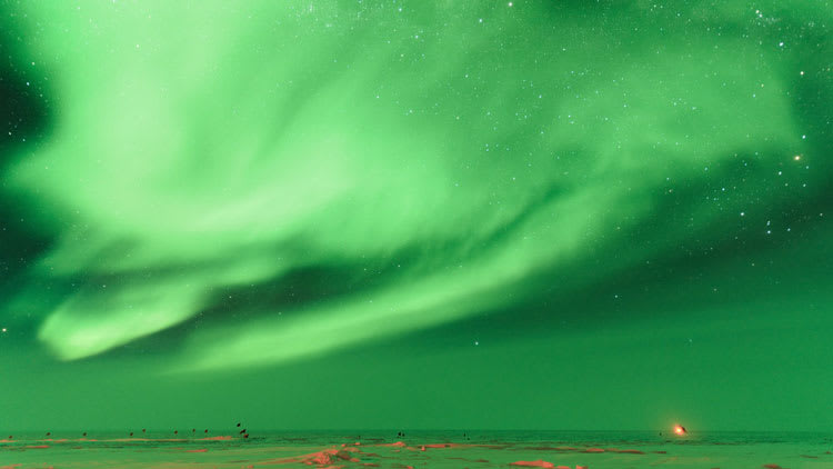 brightgreenauroras