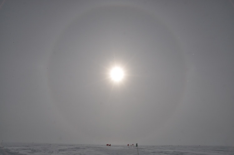 sunhalo