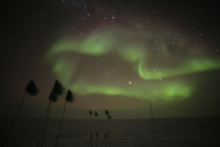 greensquigglyaurora