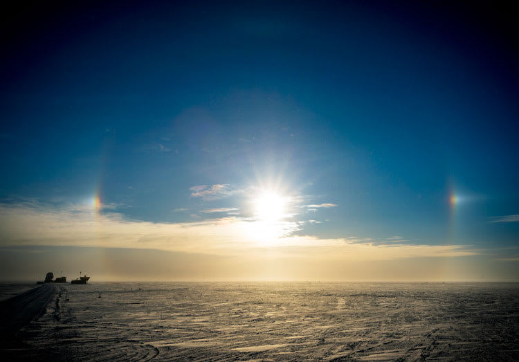 moresundogs